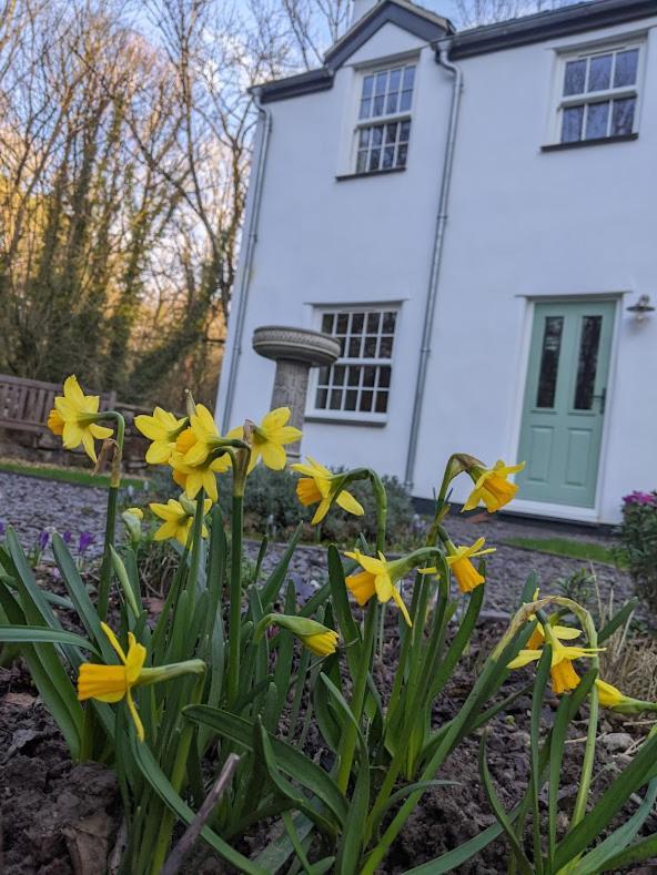 Riverside Cottage Walking Distance Into Caernarfon Exterior photo
